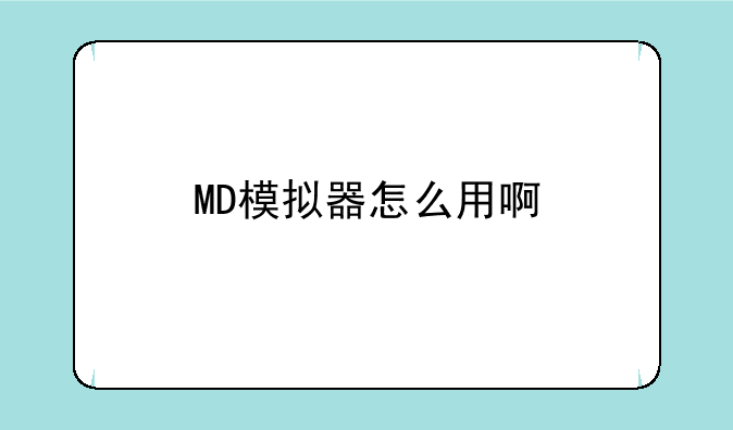 MD模拟器怎么用啊