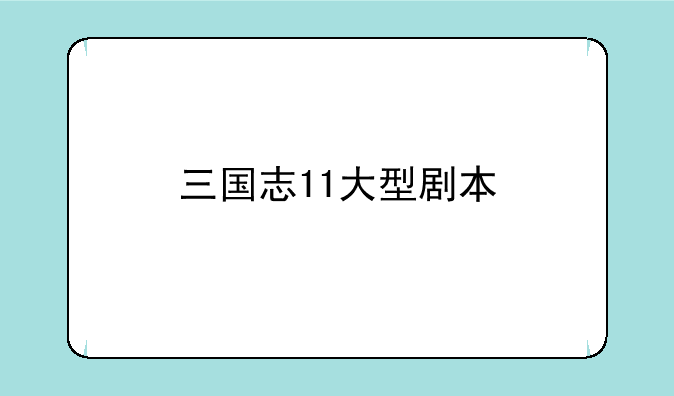 三国志11大型剧本