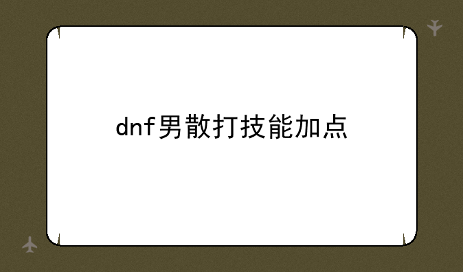 dnf男散打技能加点