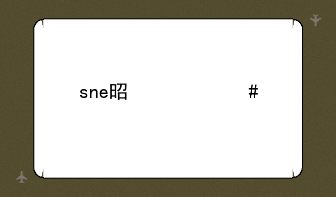 sne是什么牌子手机