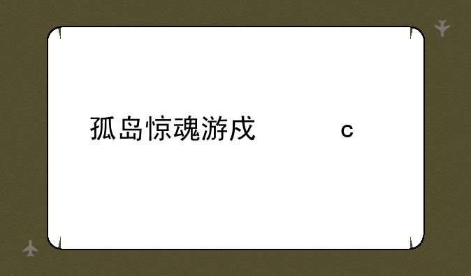 孤岛惊魂游戏秘籍