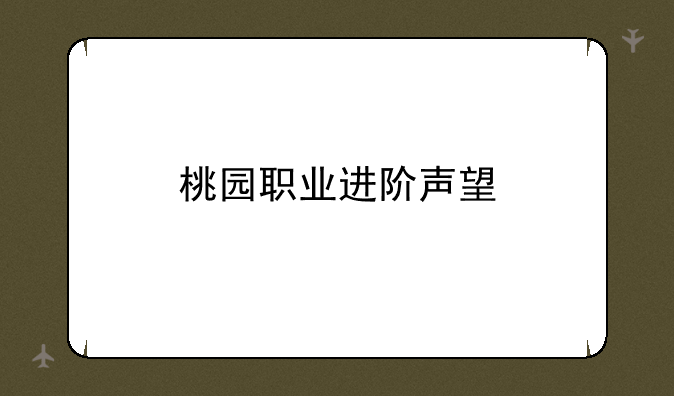 桃园职业进阶声望