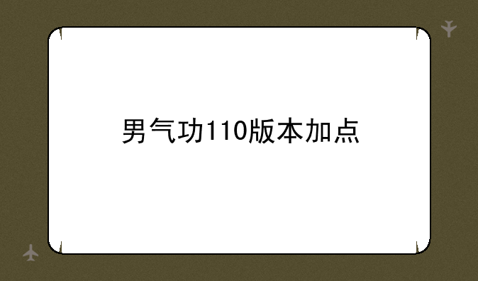 男气功110版本加点