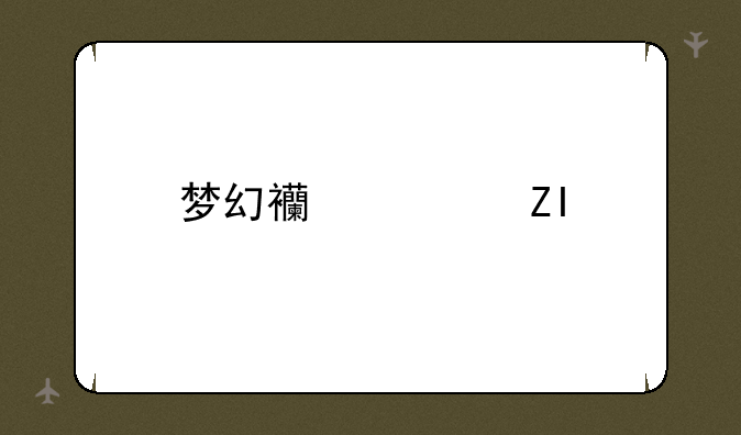 梦幻西游新bb