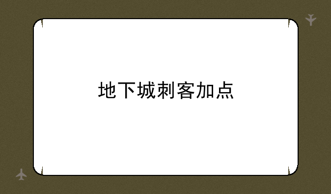 地下城刺客加点