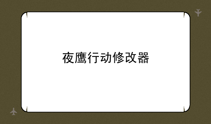夜鹰行动修改器
