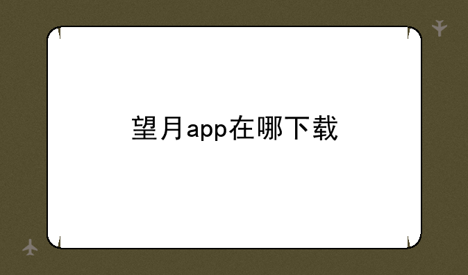 望月app在哪下载