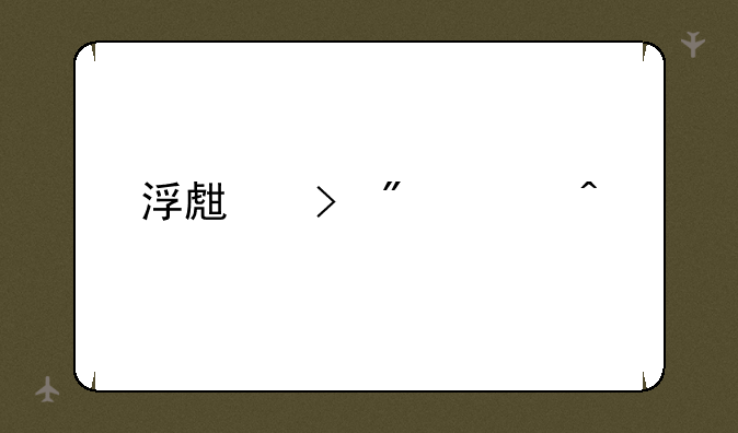 浮生号航海日记