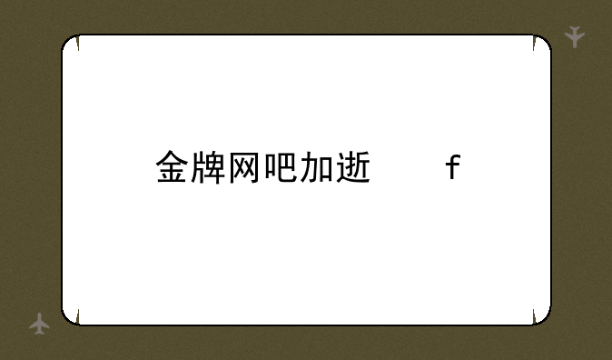 金牌网吧加速器