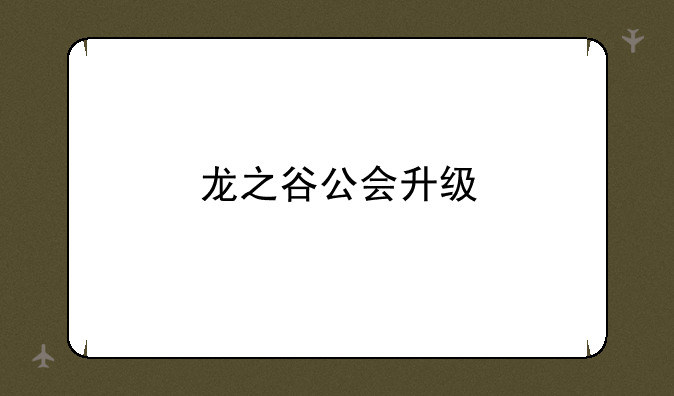 龙之谷公会升级