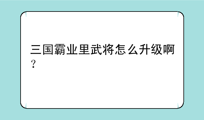 三国霸业里武将怎么升级啊？
