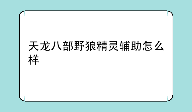 天龙八部野狼精灵辅助怎么样