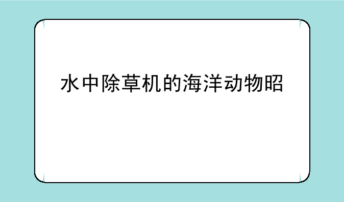 水中除草机的海洋动物是什么