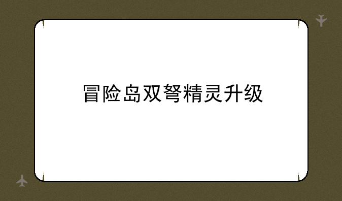 冒险岛双弩精灵升级