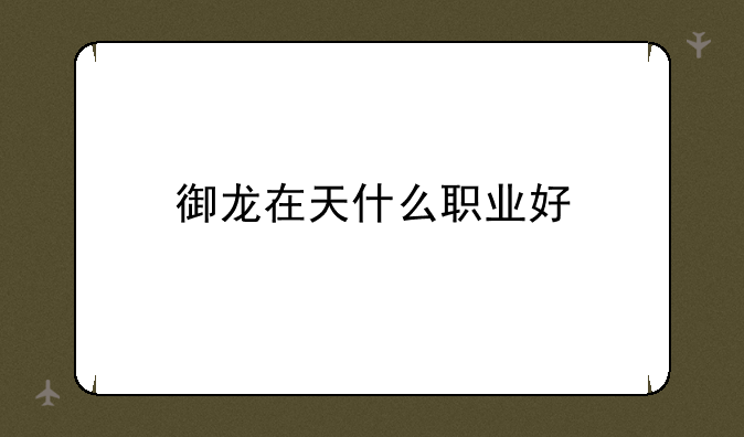 御龙在天什么职业好