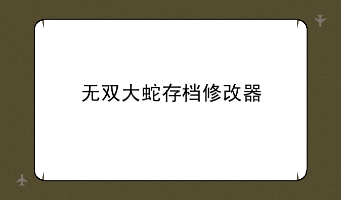 无双大蛇存档修改器