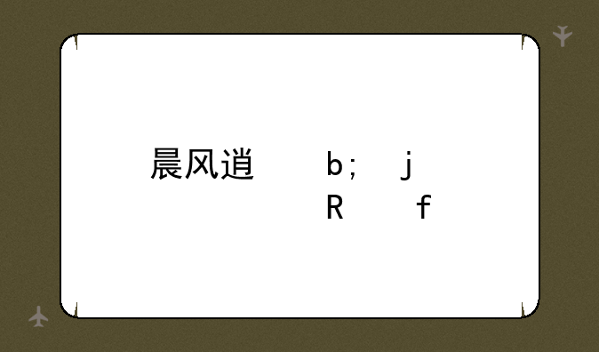 晨风透明皮肤修改器