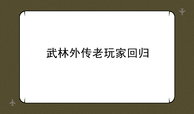 武林外传老玩家回归