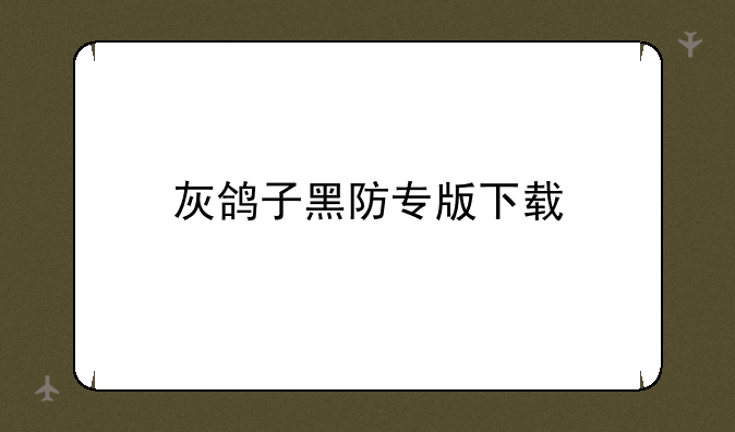 灰鸽子黑防专版下载