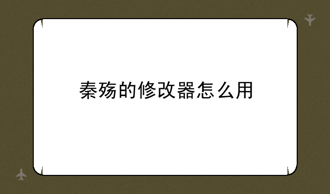 秦殇的修改器怎么用