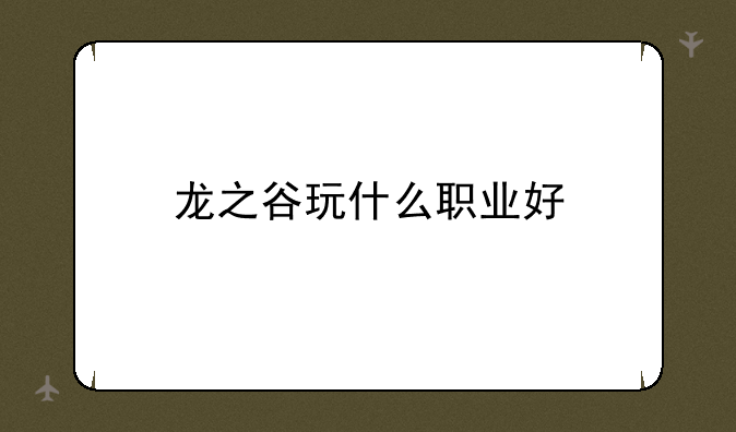 龙之谷玩什么职业好