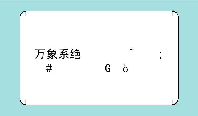 万象系统临时怎么上网？