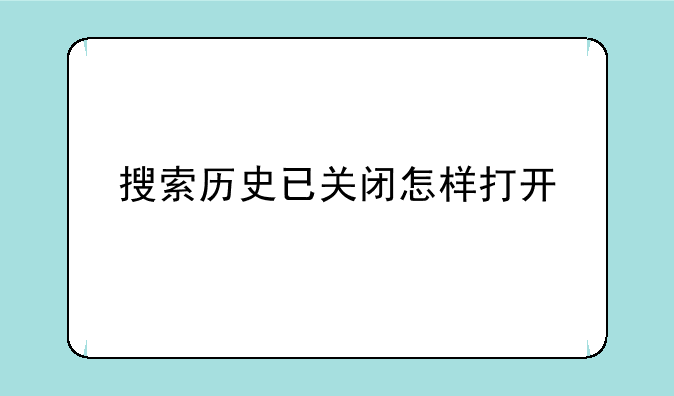 搜索历史已关闭怎样打开