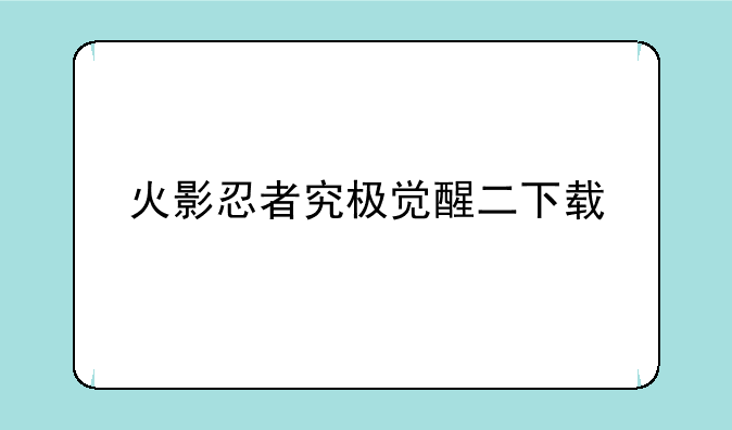 火影忍者究极觉醒二下载