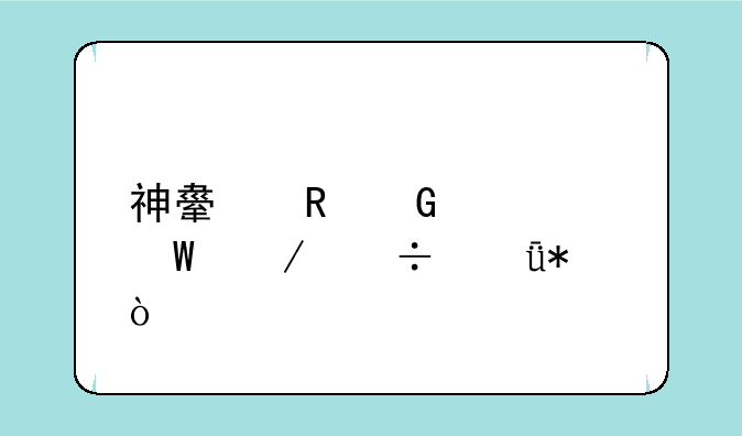 神舟电脑如何下载驱动？