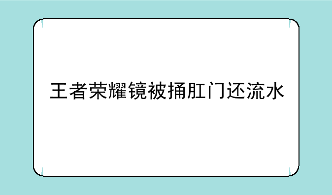 王者荣耀镜被捅肛门还流水