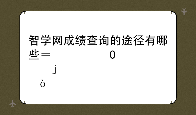 智学网成绩查询的途径有哪些？具体点的？
