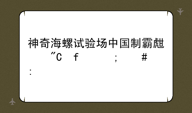 神奇海螺试验场中国制霸生成器怎么玩