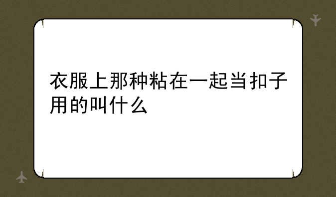 衣服上那种粘在一起当扣子用的叫什么