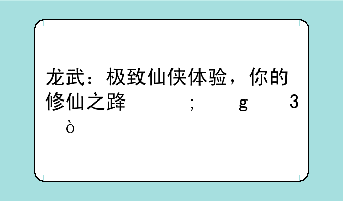 龙武：极致仙侠体验，你的修仙之路从这里开始