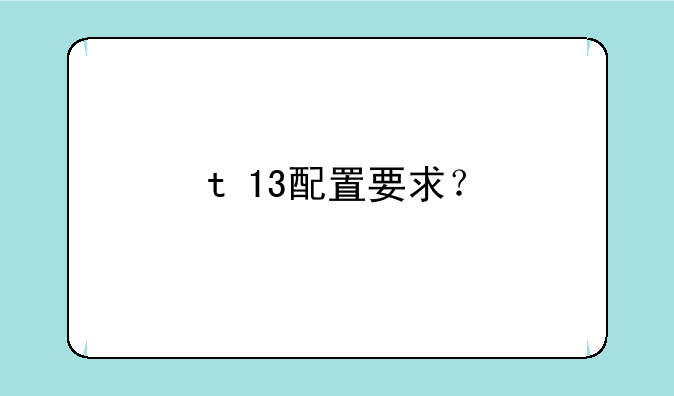 t+13配置要求？