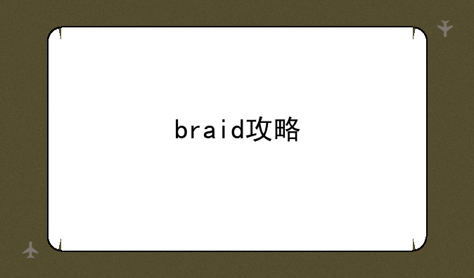 braid攻略