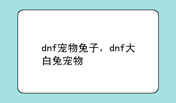 dnf宠物兔子，dnf大白兔宠物