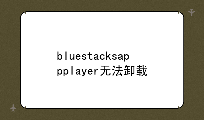 bluestacksappplayer无法卸载