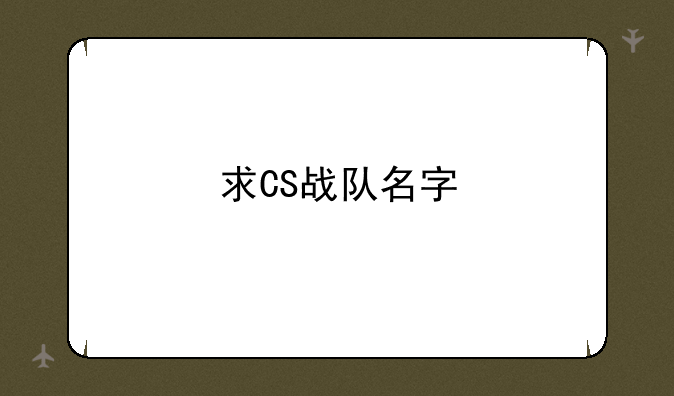 求CS战队名字