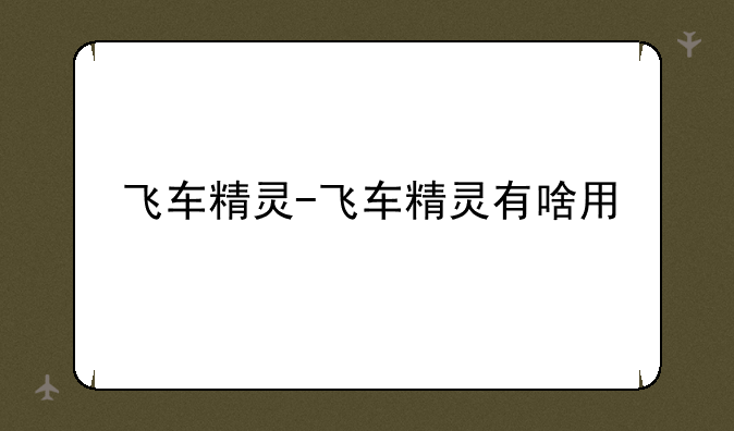飞车精灵-飞车精灵有啥用
