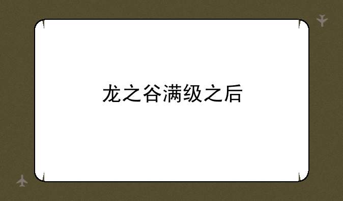 龙之谷满级之后
