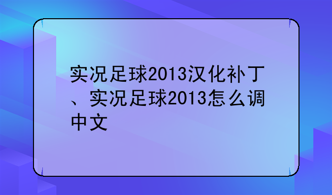 实况足球2013汉化补丁、实况足球2013怎么调中文