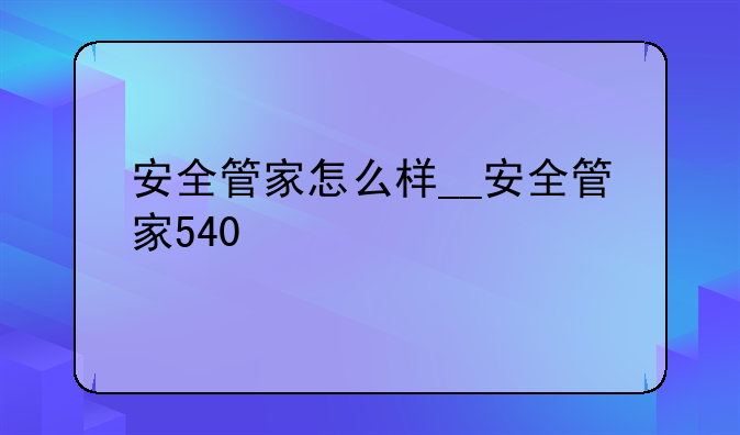 安全管家怎么样__安全管家540