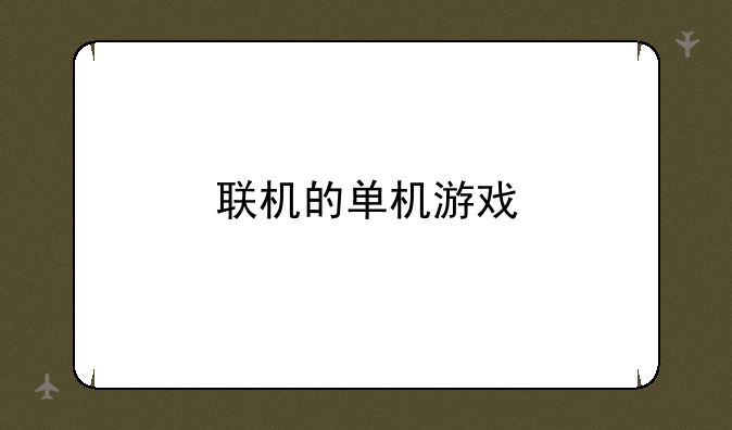 联机的单机游戏